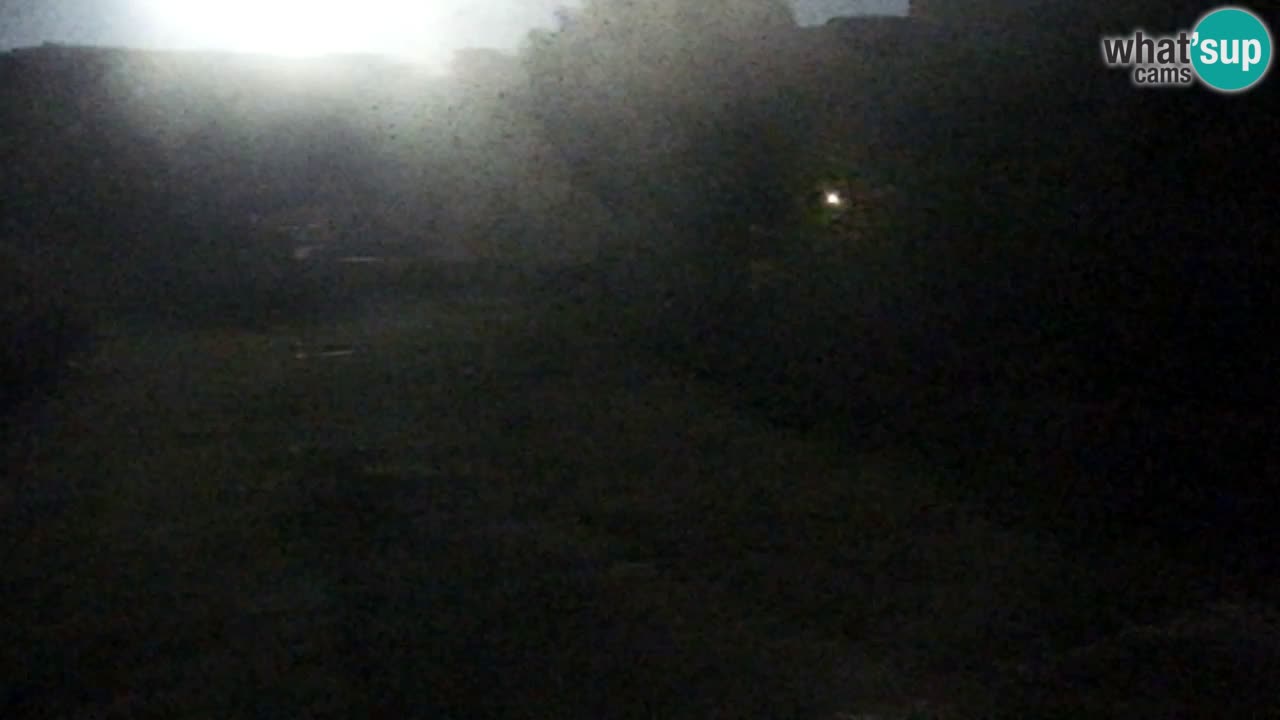 Webcam Pohorje Trikotna Jasa | Poštela