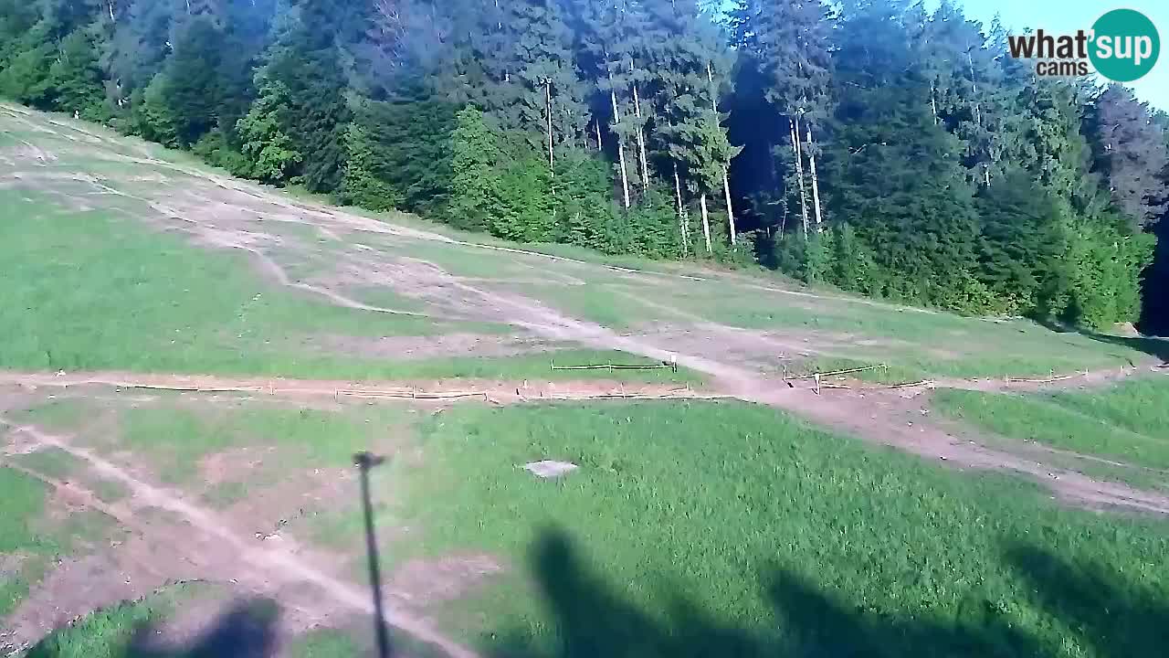 Webcam Pohorje Trikotna Jasa | Poštela