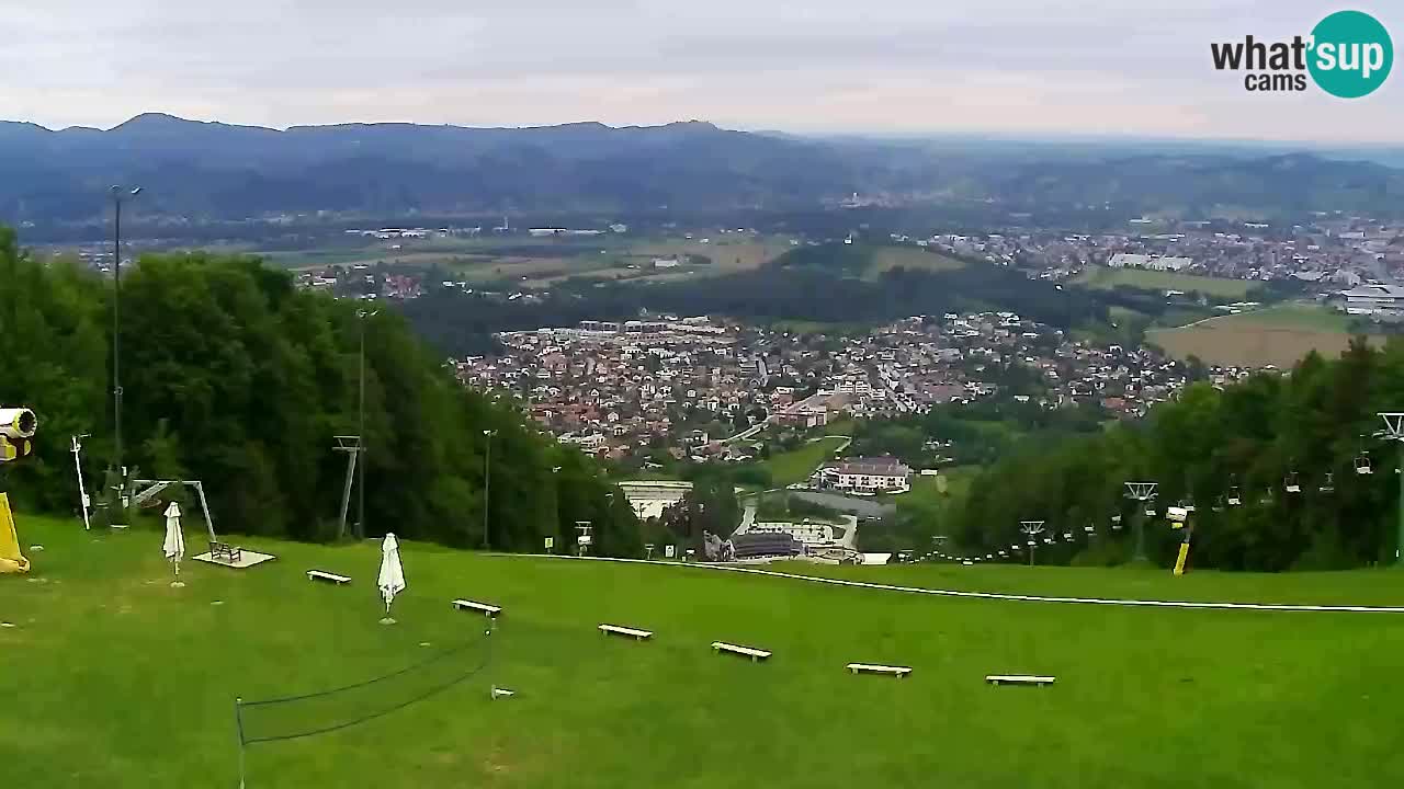 Webcam Pohorje Trikotna Jasa | Poštela