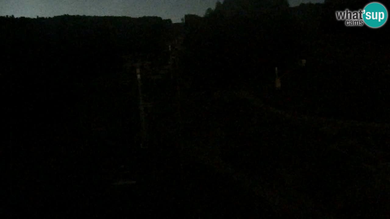Webcam Pohorje Trikotna Jasa | Poštela