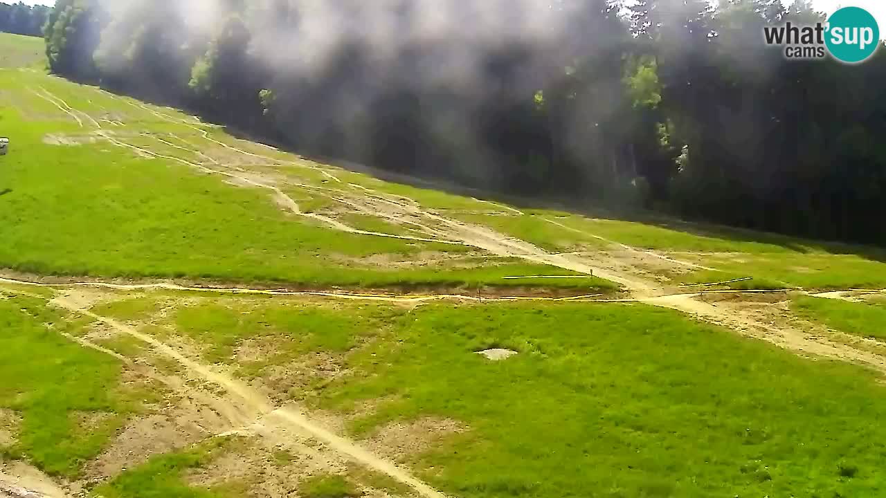 Webcam Pohorje Trikotna Jasa | Poštela