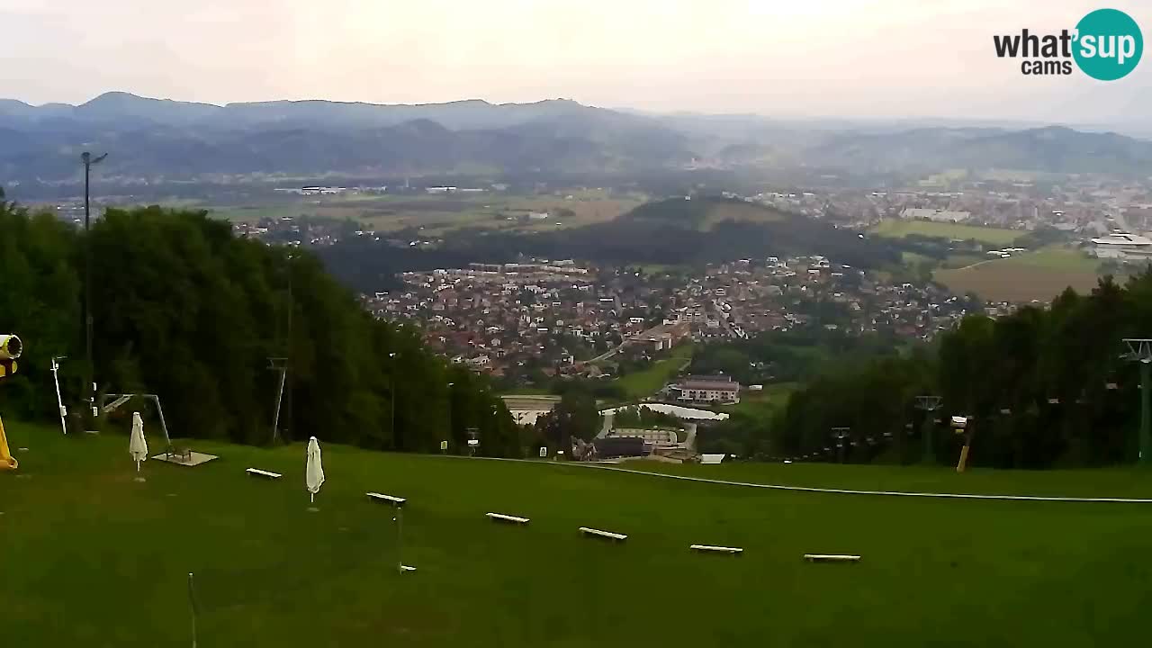 Webcam Pohorje Trikotna Jasa | Poštela