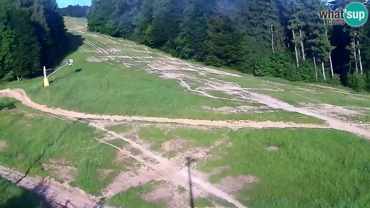 Webcam Pohorje Trikotna Jasa | Poštela