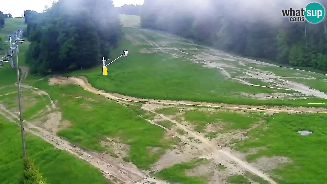 Webcam Pohorje Trikotna Jasa | Poštela