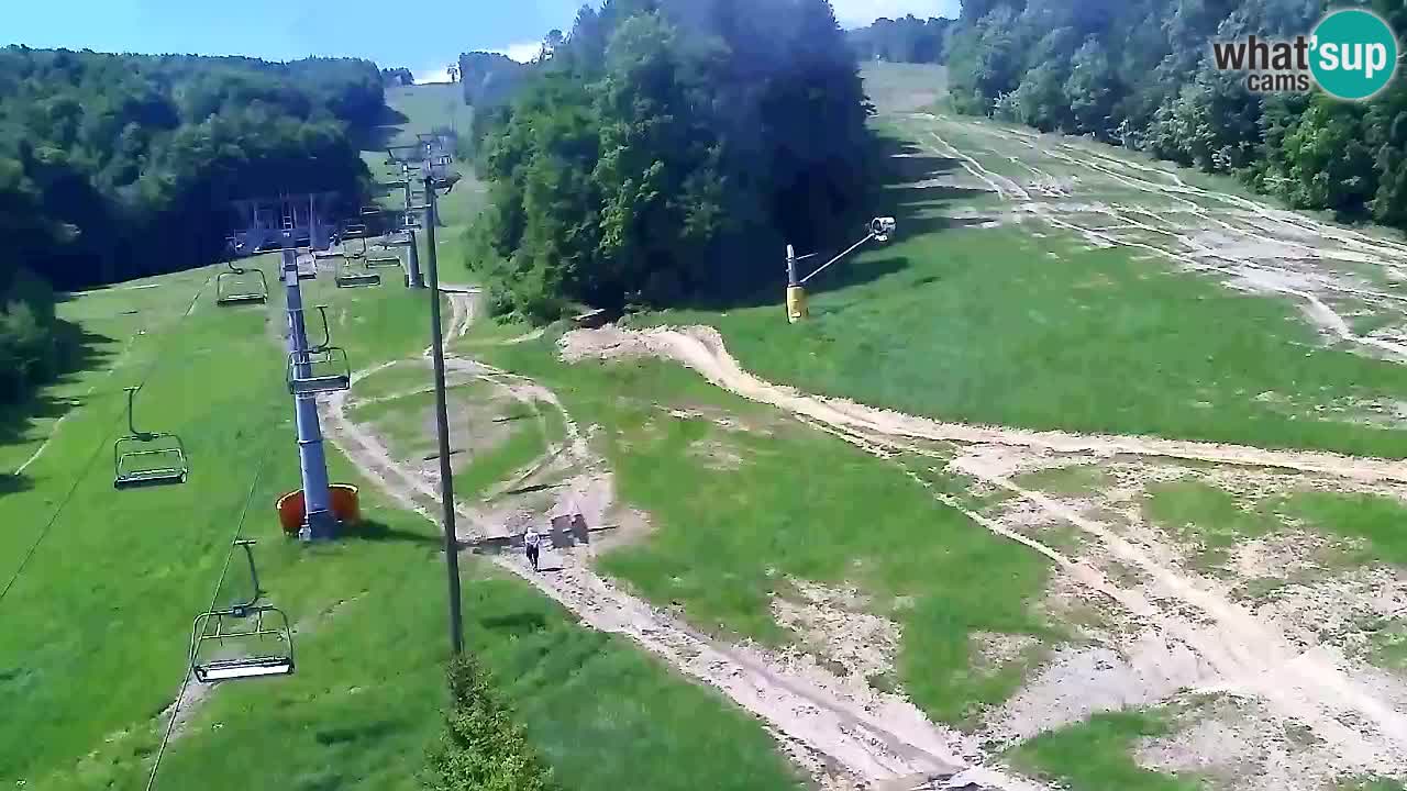Webcam Pohorje Trikotna Jasa | Poštela
