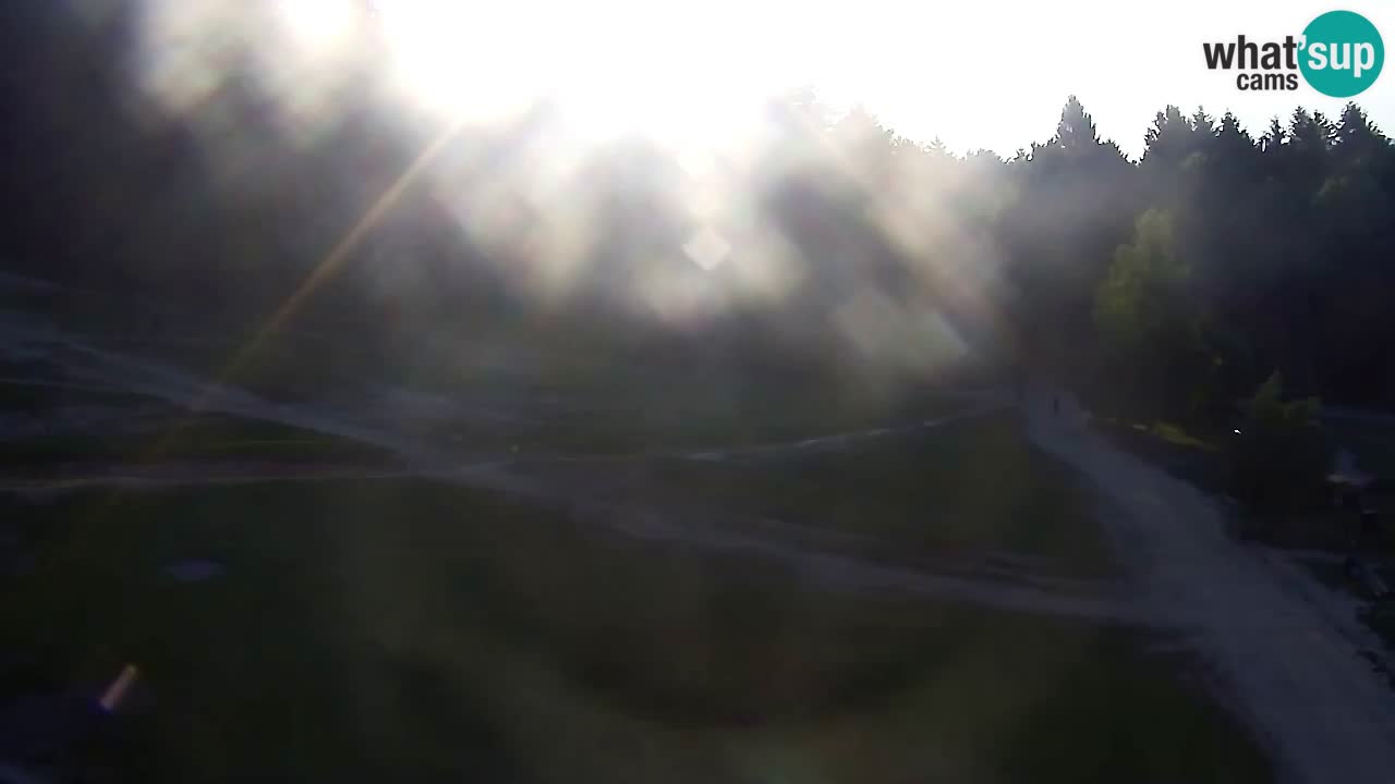 Web Camera Pohorje Trikotna Jasa | Poštela