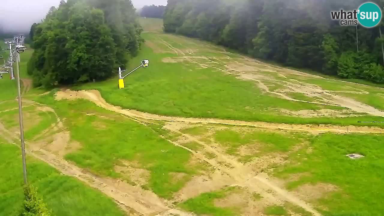 Webcam Pohorje Trikotna Jasa | Poštela
