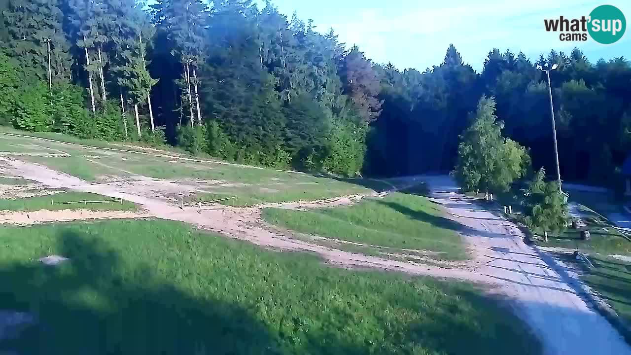 Webcam Pohorje Trikotna Jasa | Poštela
