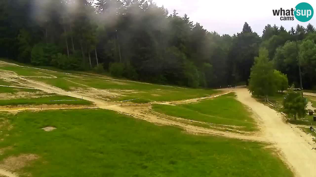 Webcam Pohorje Trikotna Jasa | Poštela
