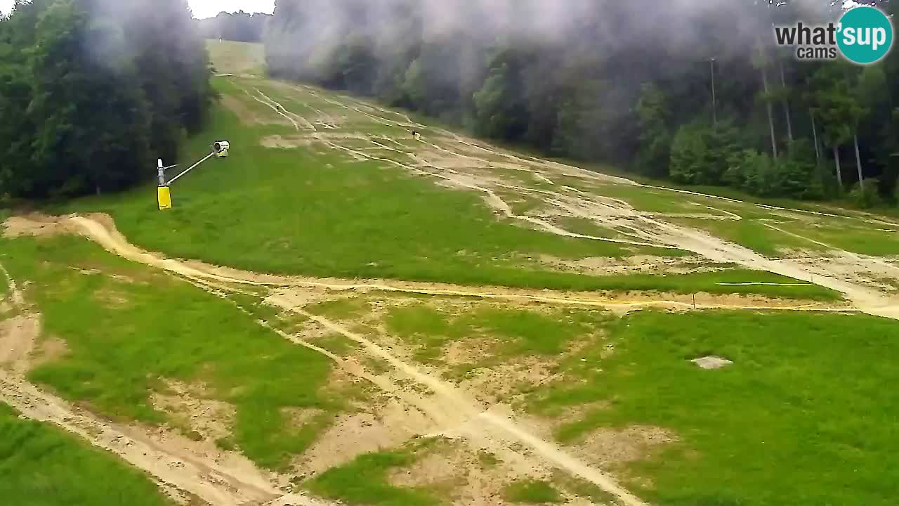 Webcam Pohorje Trikotna Jasa | Poštela