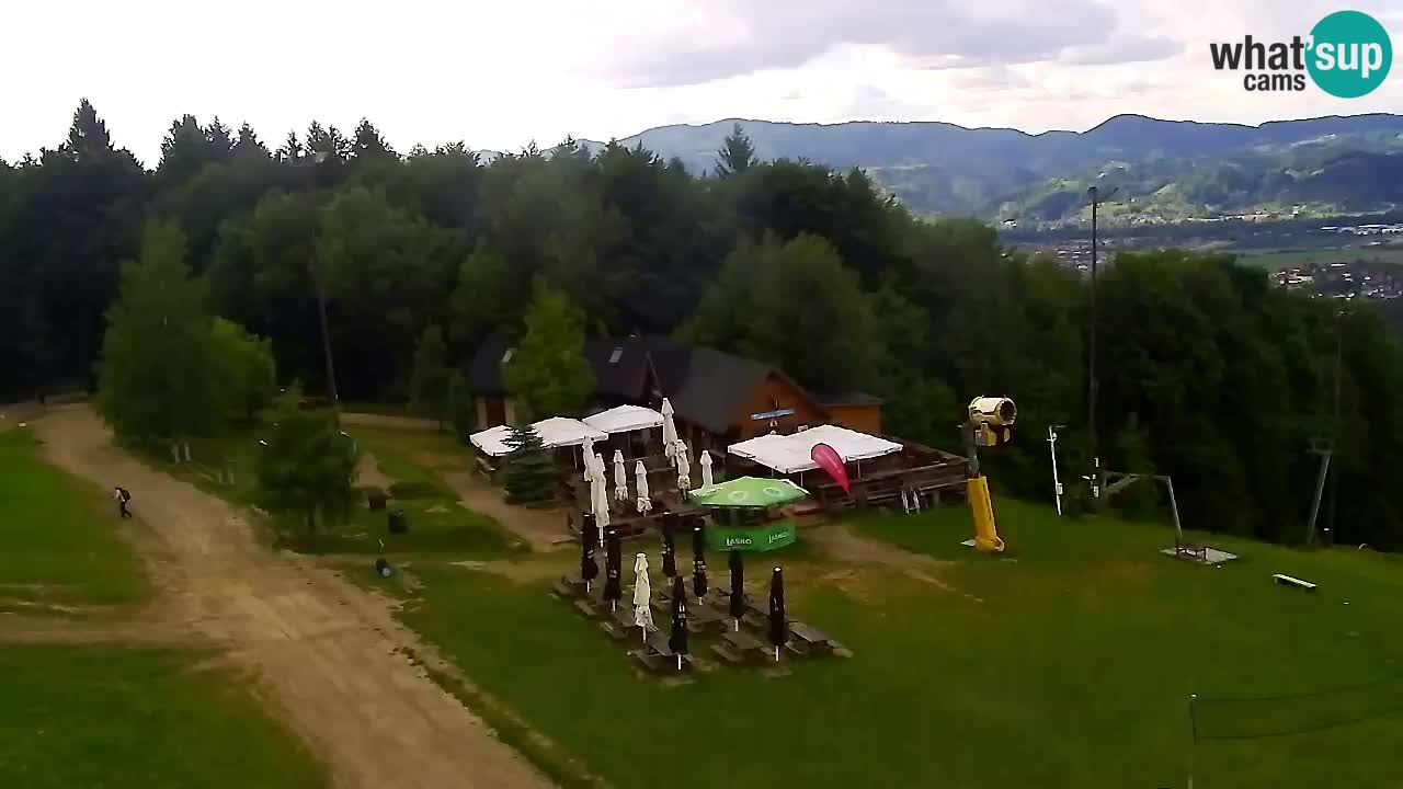 Webcam Pohorje Trikotna Jasa | Poštela