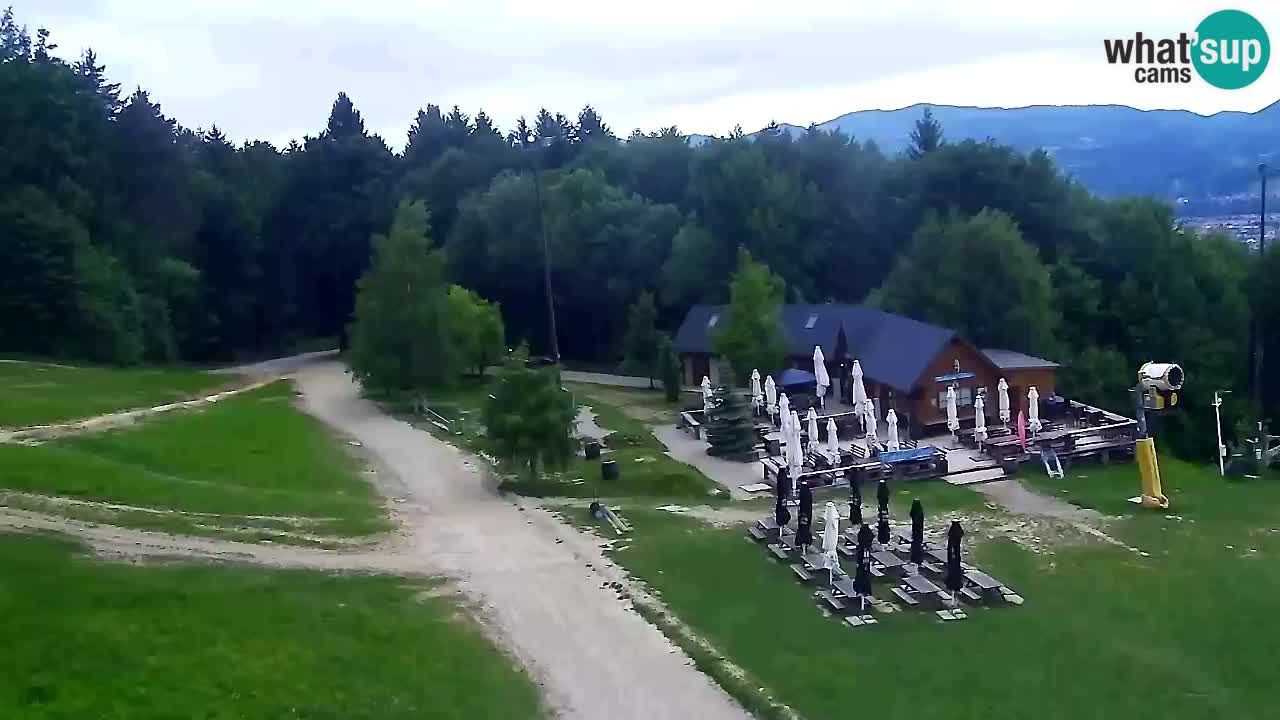 Web Camera Pohorje Trikotna Jasa | Poštela
