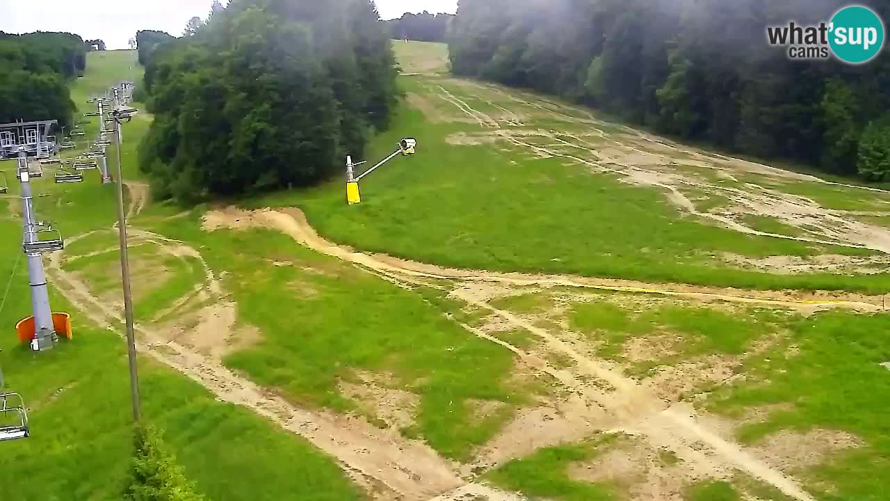 Webcam Pohorje Trikotna Jasa | Poštela