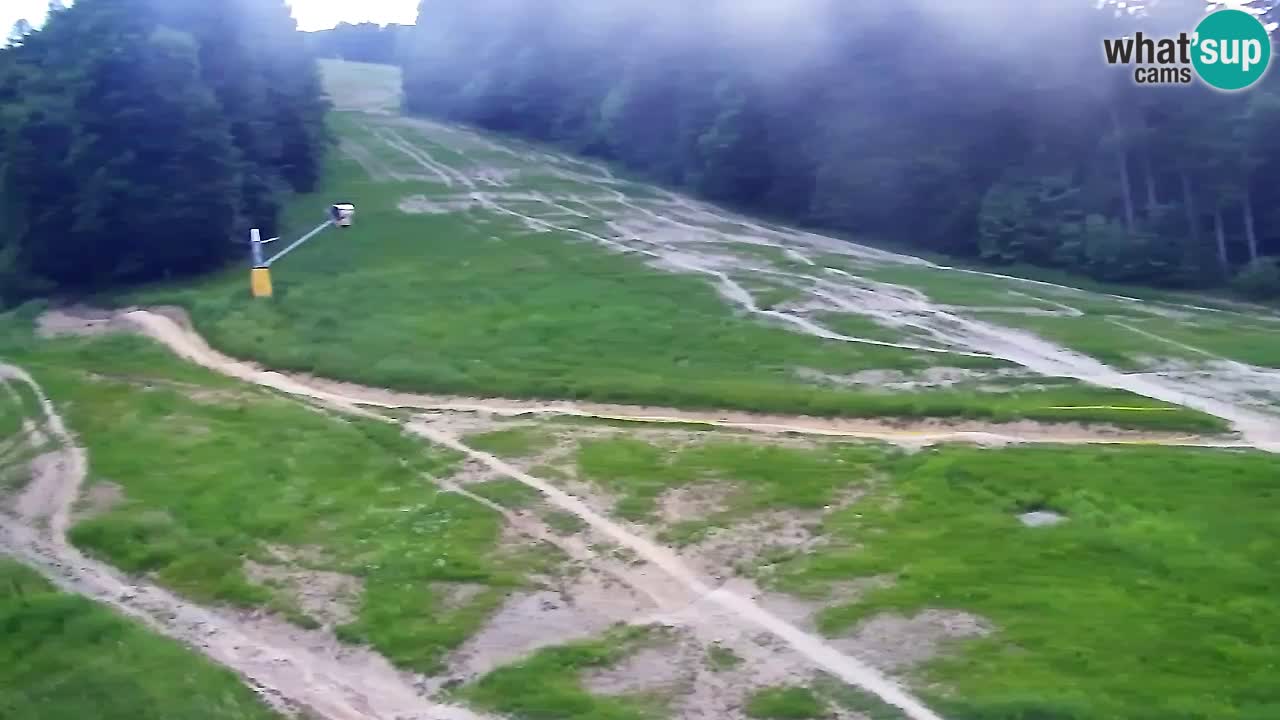 Webcam Pohorje Trikotna Jasa | Poštela