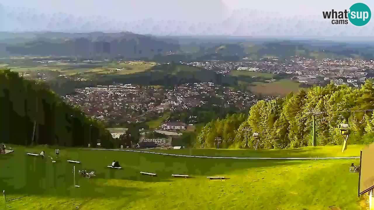 Webcam Pohorje Trikotna Jasa | Poštela