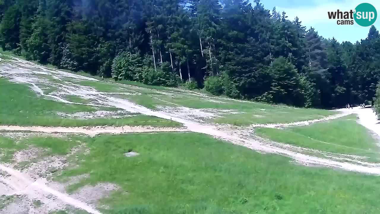 Webcam Pohorje Trikotna Jasa | Poštela
