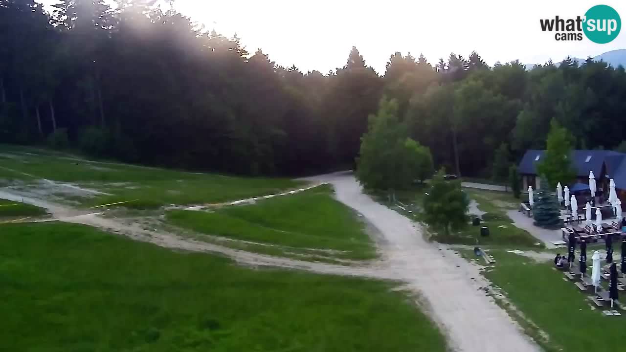 Webcam Pohorje Trikotna Jasa | Poštela