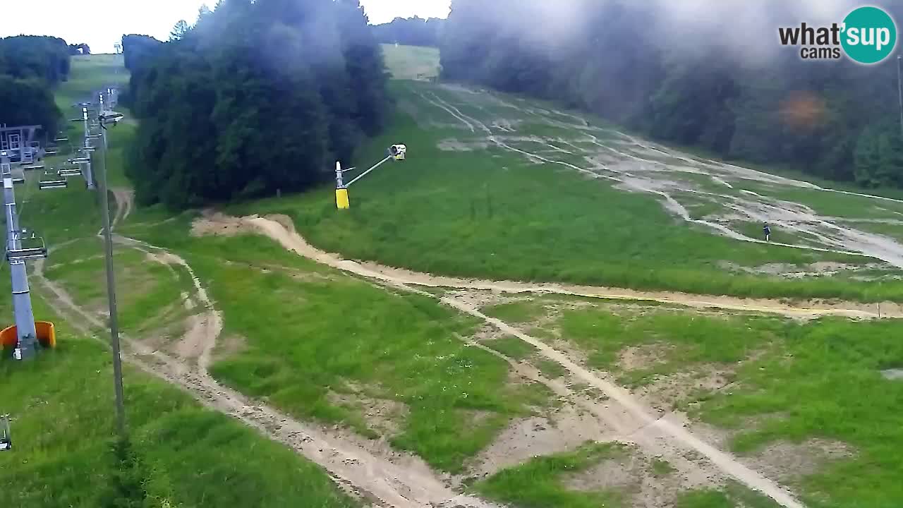 Webcam Pohorje Trikotna Jasa | Poštela
