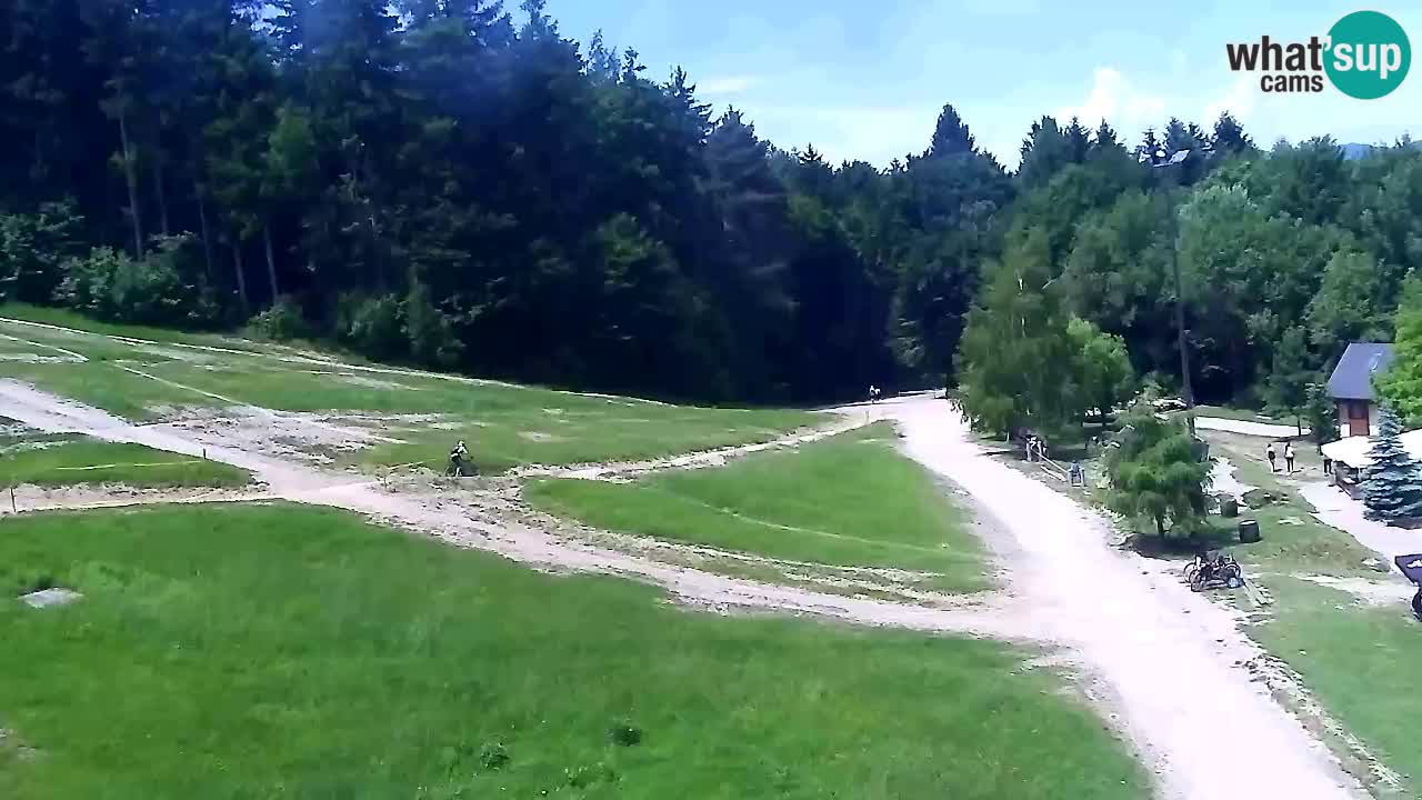 Web Camera Pohorje Trikotna Jasa | Poštela