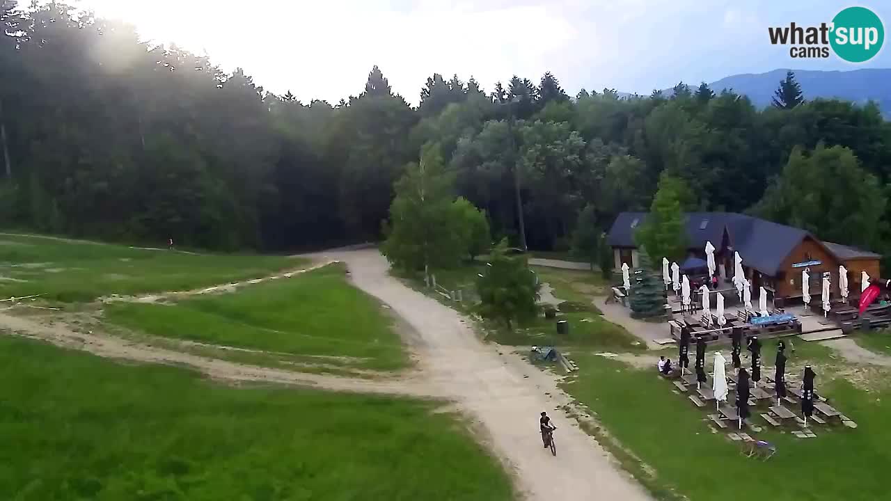 Webcam Pohorje Trikotna Jasa | Poštela