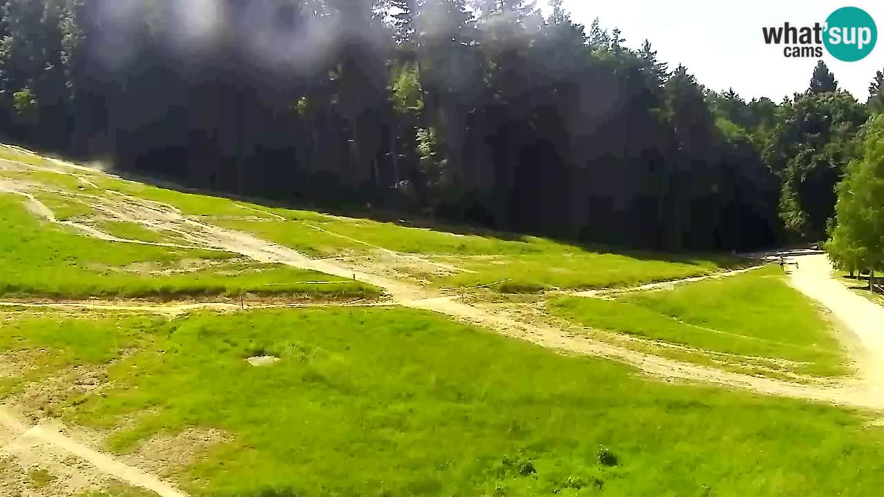 Webcam Pohorje Trikotna Jasa | Poštela