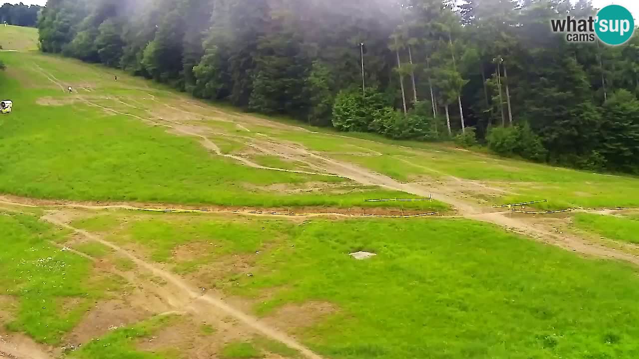 Webcam Pohorje Trikotna Jasa | Poštela