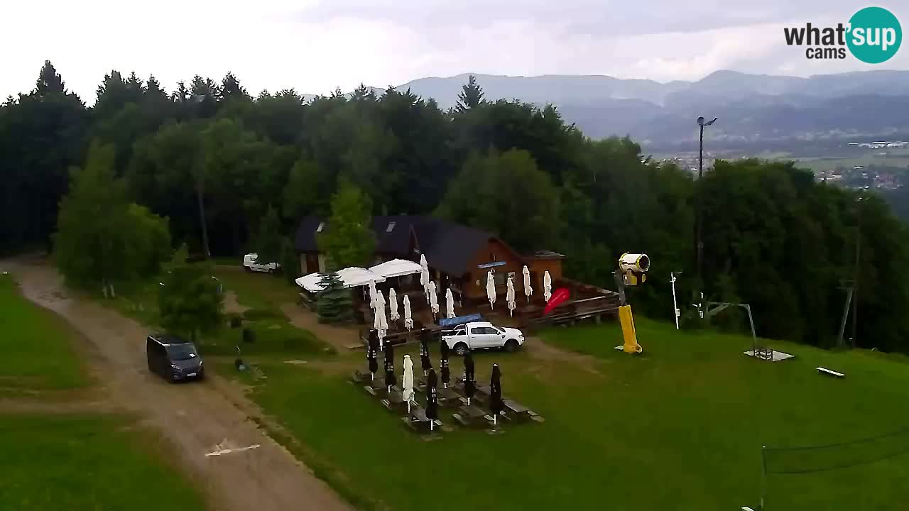 Webcam Pohorje Trikotna Jasa | Poštela