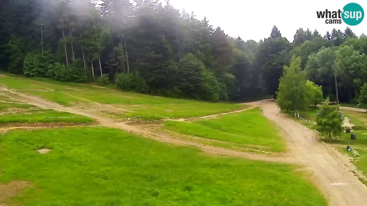 Webcam Pohorje Trikotna Jasa | Poštela