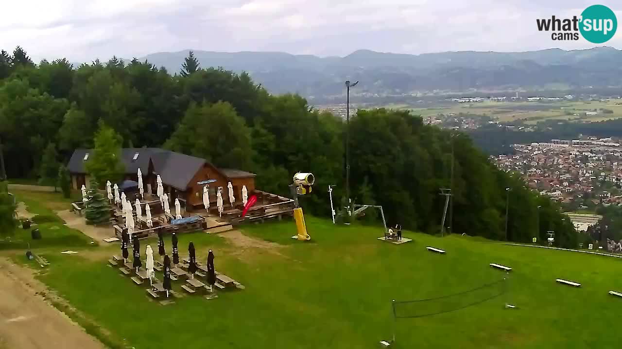 Webcam Pohorje Trikotna Jasa | Poštela