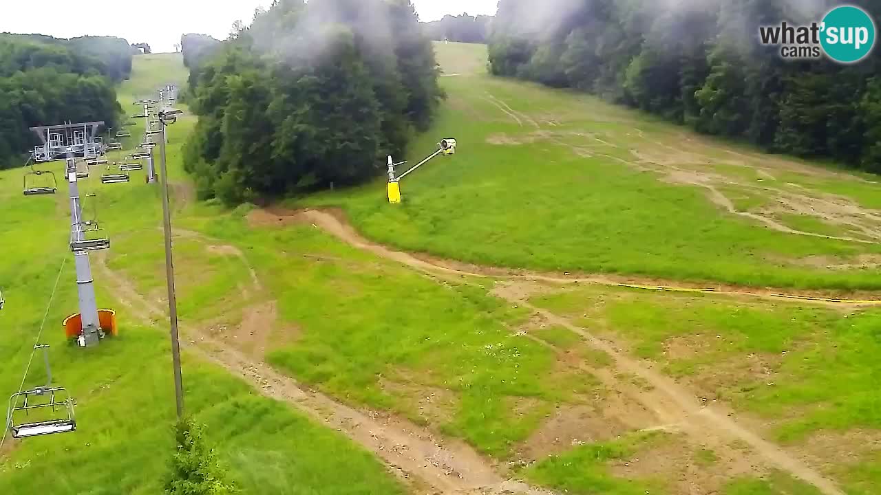 Webcam Pohorje Trikotna Jasa | Poštela