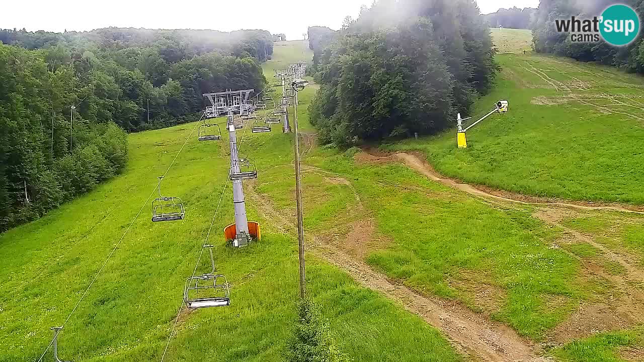 Web Camera Pohorje Trikotna Jasa | Poštela