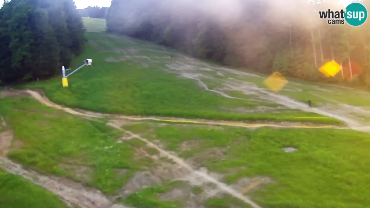 Spletna Kamera Pohorje Trikotna Jasa | Poštela