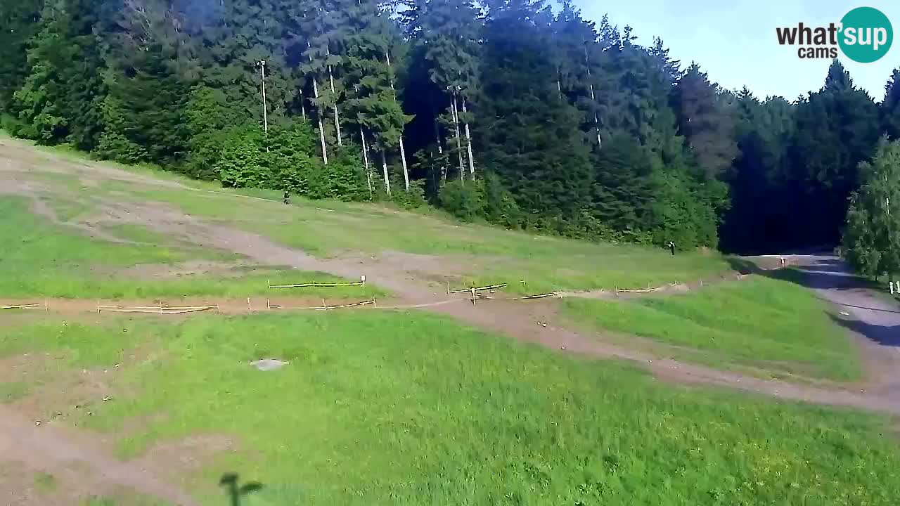 Spletna Kamera Pohorje Trikotna Jasa | Poštela