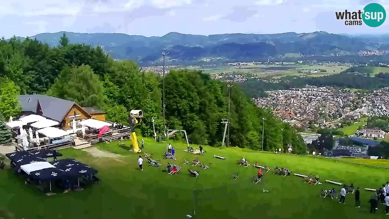 Webcam Pohorje Trikotna Jasa | Poštela