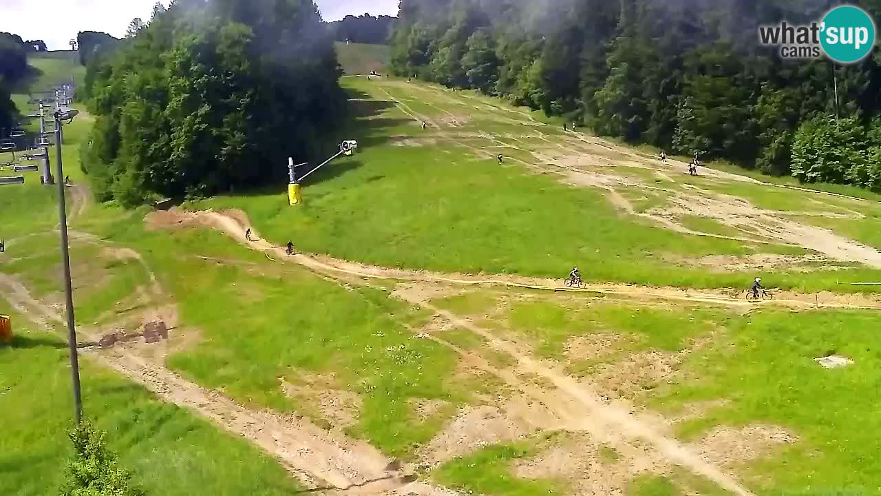 Webcam Pohorje Trikotna Jasa | Poštela