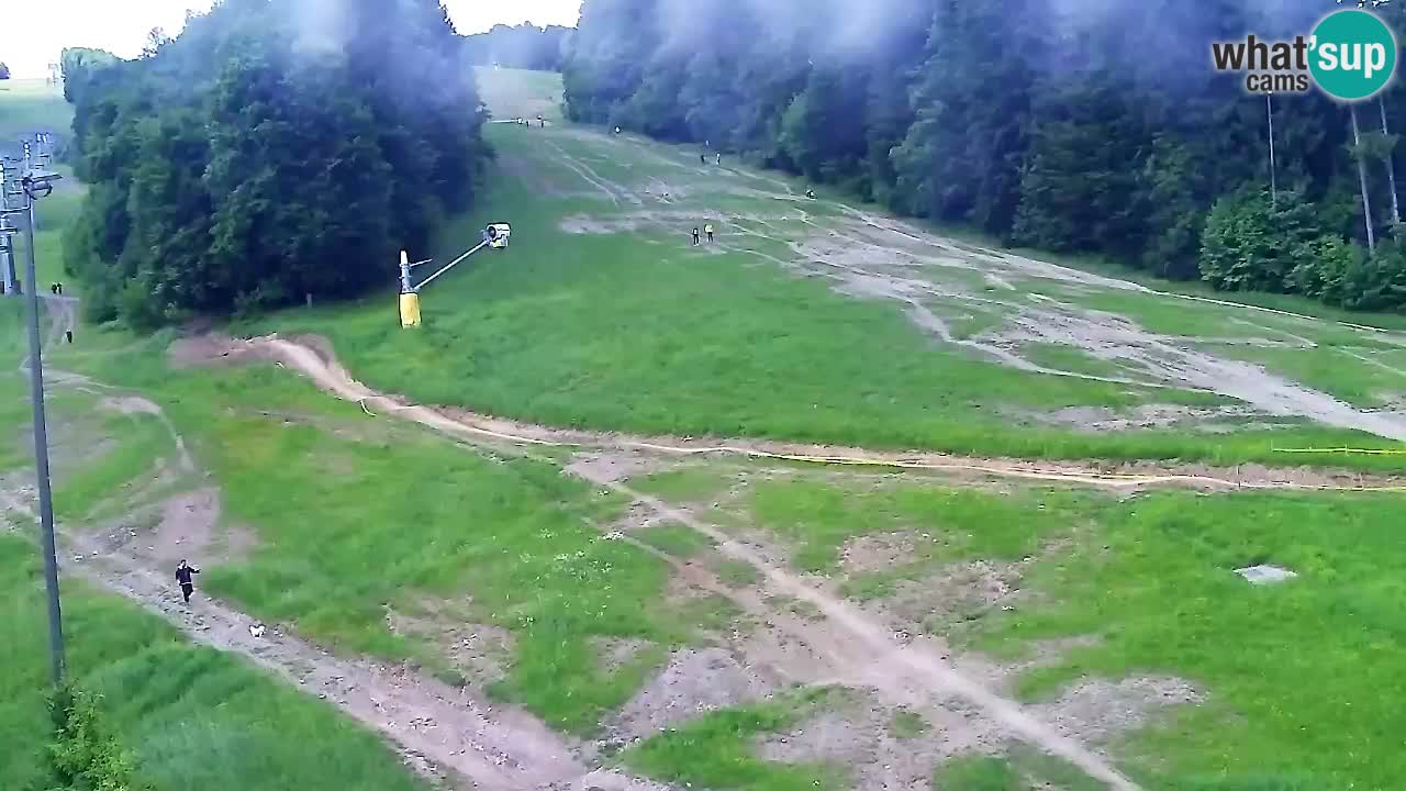 Webcam Pohorje Trikotna Jasa | Poštela