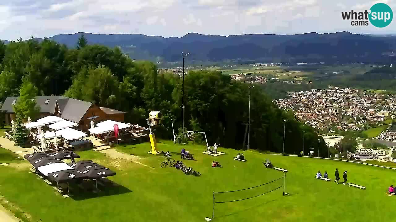 Web kamera Pohorje Trikotna Jasa | Poštela