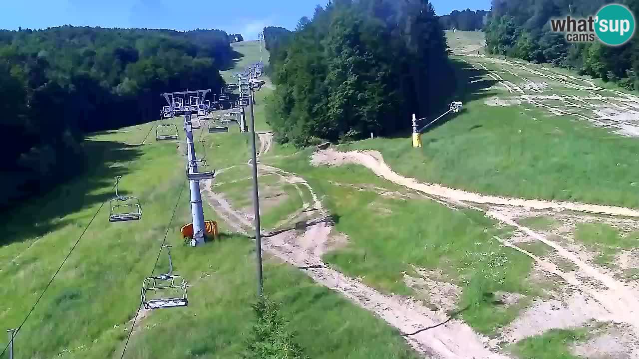 Webcam Pohorje Trikotna Jasa | Poštela