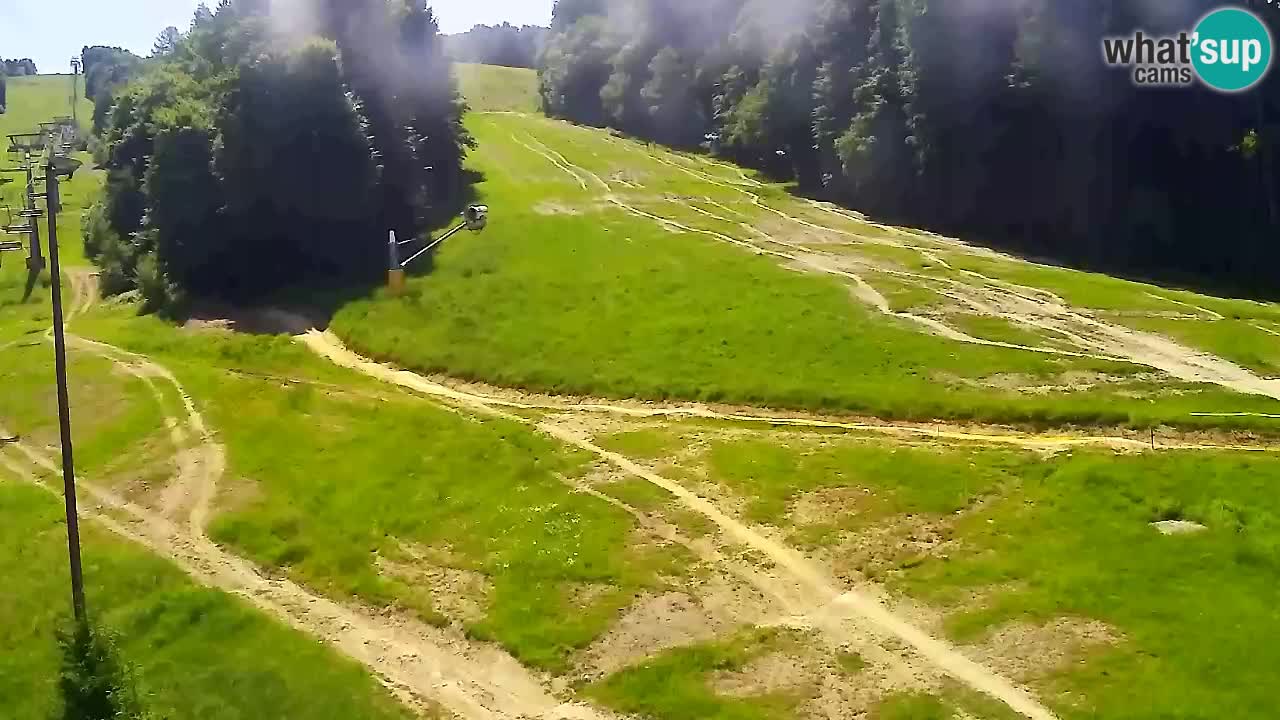 Webcam Pohorje Trikotna Jasa | Poštela