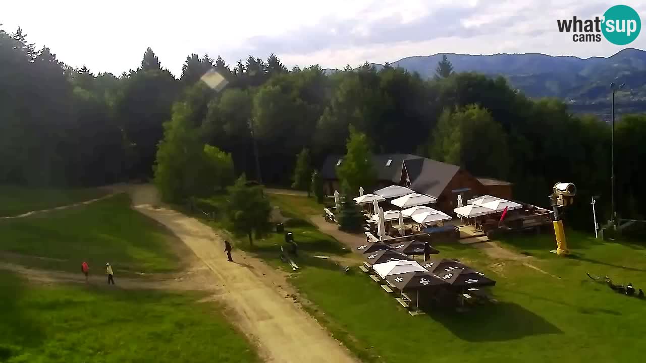Web Camera Pohorje Trikotna Jasa | Poštela