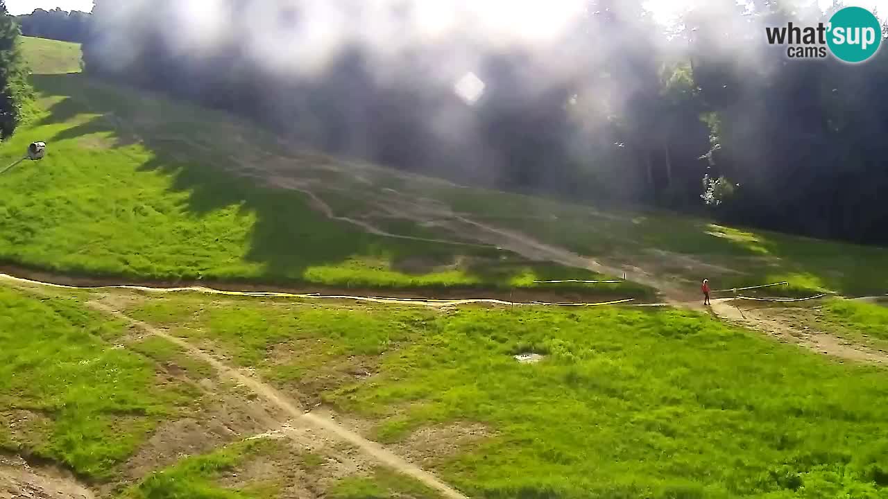 Webcam Pohorje Trikotna Jasa | Poštela