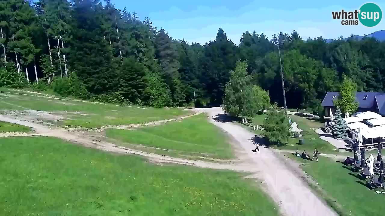 Web Camera Pohorje Trikotna Jasa | Poštela
