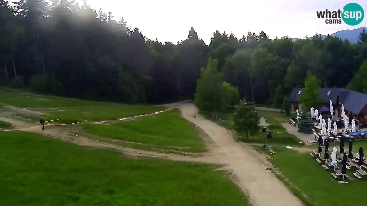 Webcam Pohorje Trikotna Jasa | Poštela