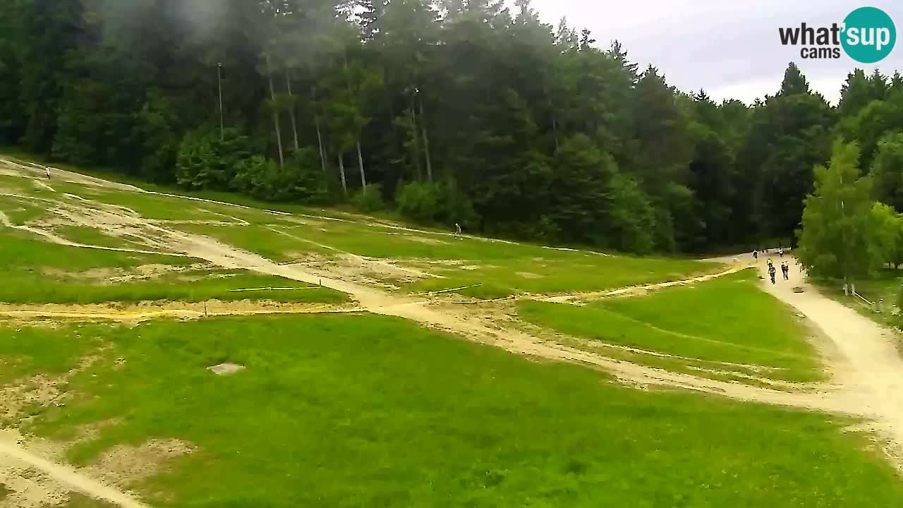 Webcam Pohorje Trikotna Jasa | Poštela
