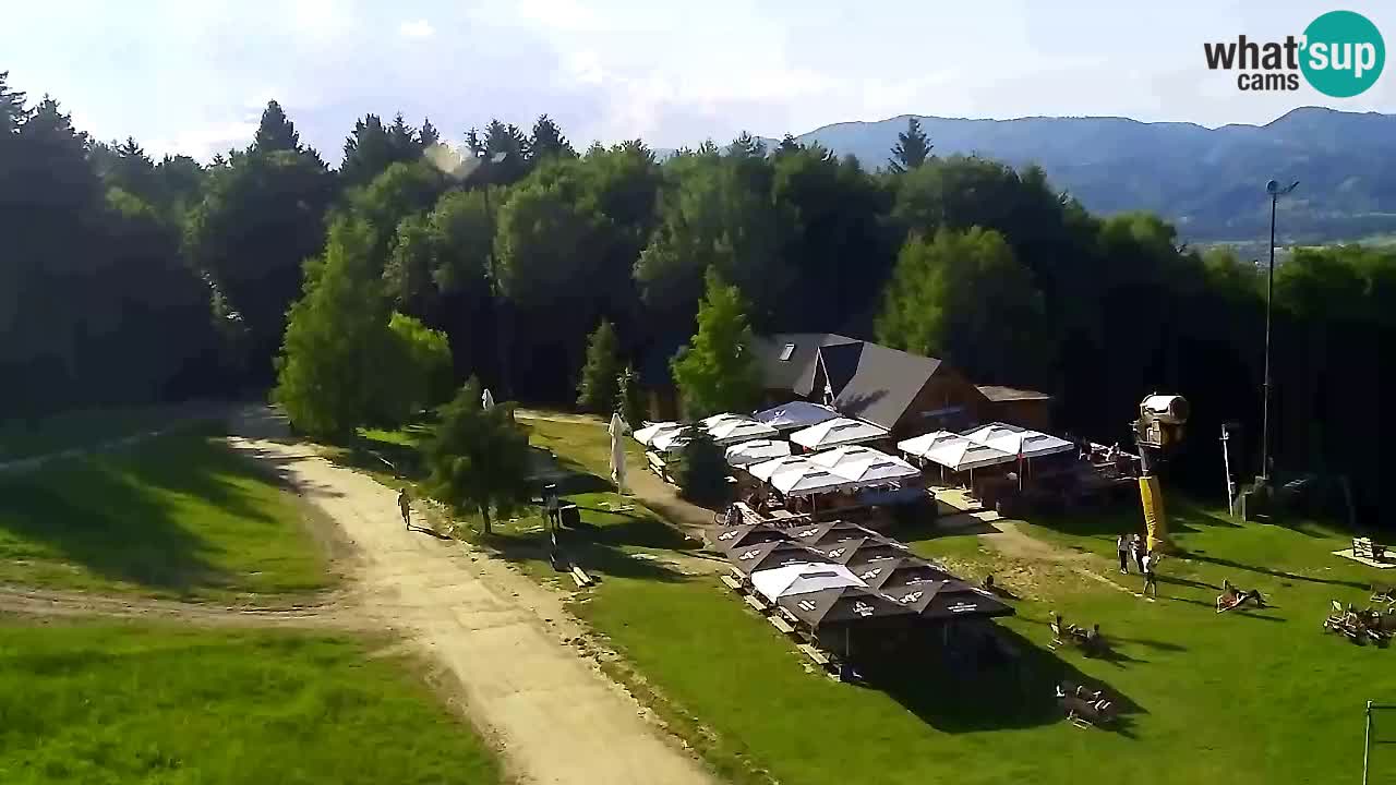 Web Camera Pohorje Trikotna Jasa | Poštela