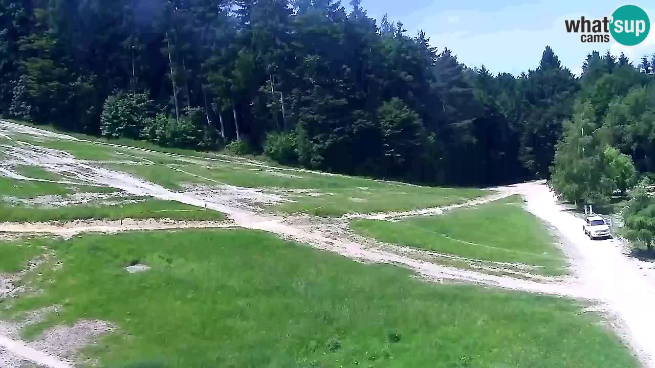 Webcam Pohorje Trikotna Jasa | Poštela