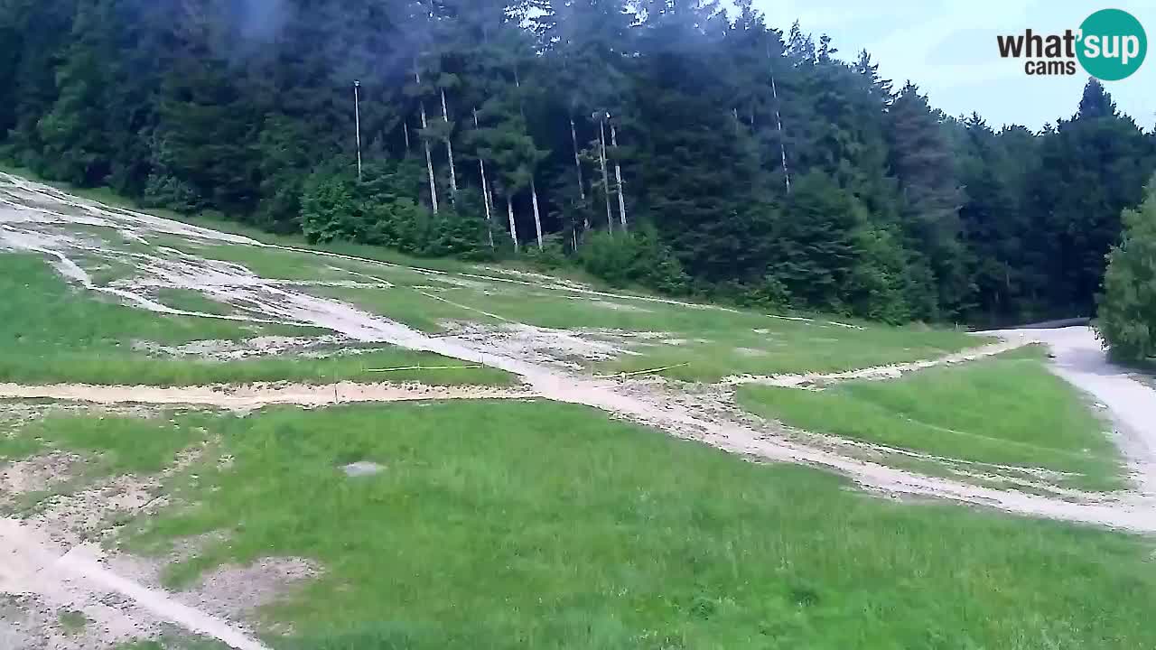Webcam Pohorje Trikotna Jasa | Poštela