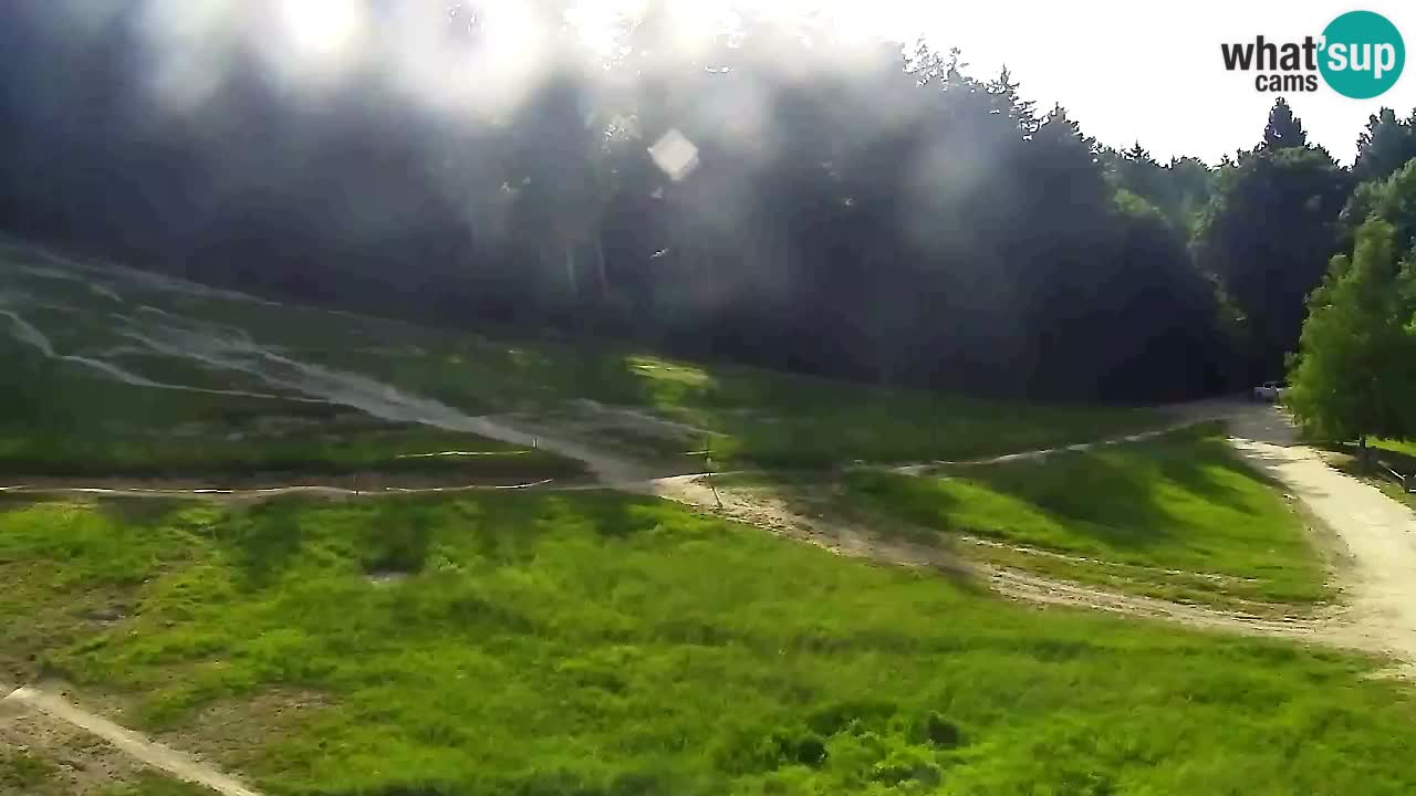 Webcam Pohorje Trikotna Jasa | Poštela
