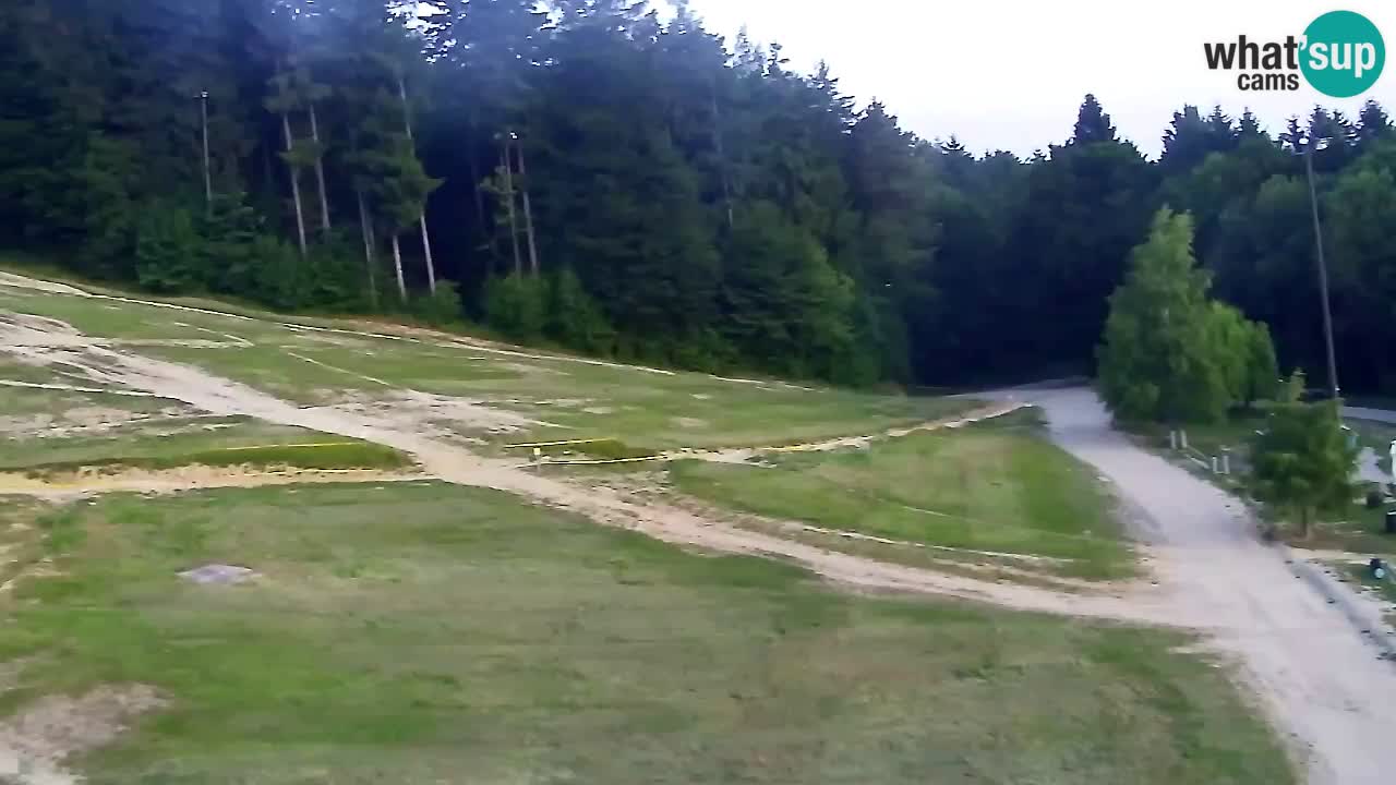 Webcam Pohorje Trikotna Jasa | Poštela