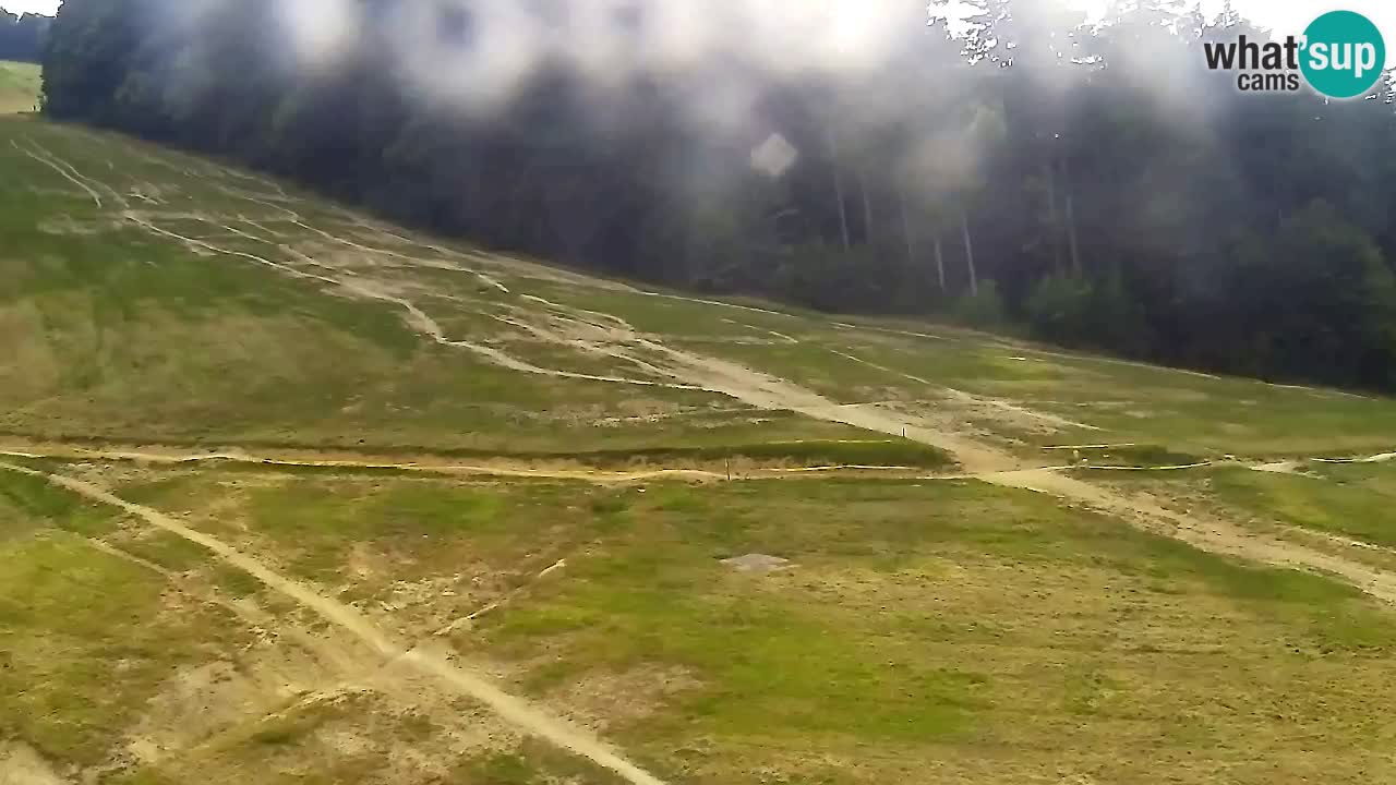 Webcam Pohorje Trikotna Jasa | Poštela